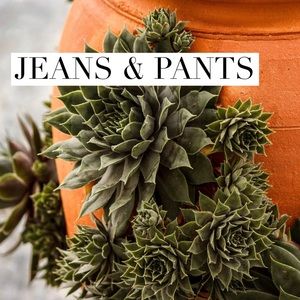 Jeans & Pants